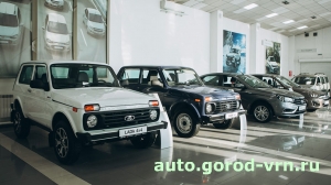 Доля отечественных машин на рынке РФ выросла до 27%