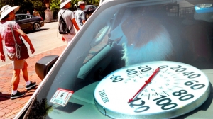 Что «убьет» автомобиль в летнюю жару, рассказали эксперты